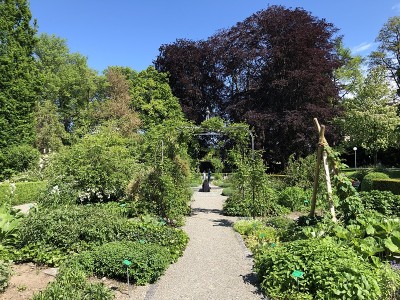 瑞士Kreuzlingen的Seeburgpark公园和植物园