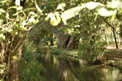 Giverny