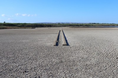 Vendicari – Detail of Pantano Grande in dry