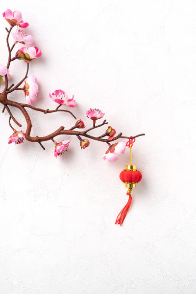中国农历新年背景设计概念与粉红色的梅花和节日装饰。