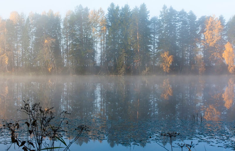 美丽的秋日清晨景观Kymijoki河水在雾。芬兰、Kymenlaakso Kouvola。