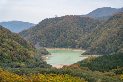 福台大坝正值秋叶季节。日本