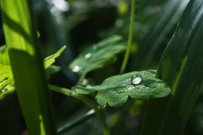 雨滴