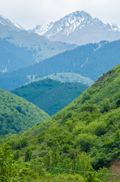 山峦在春天，