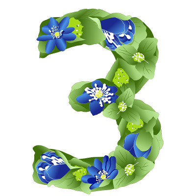 数字3在叶和花的形式的向量图像