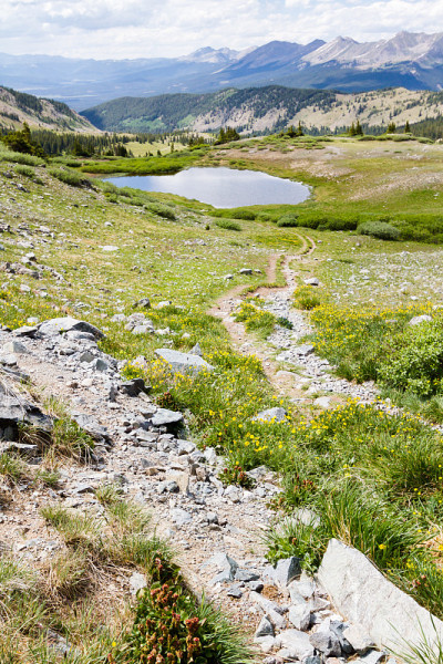 山