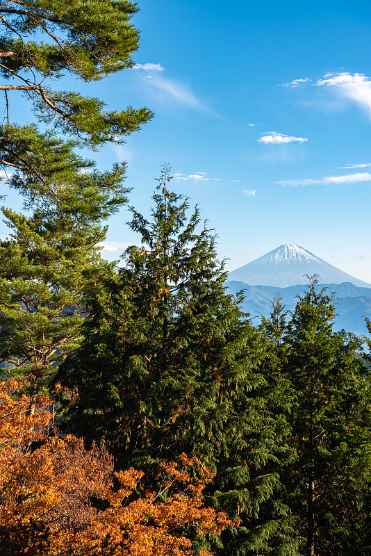 富士山，世界遗产。美丽的风景看