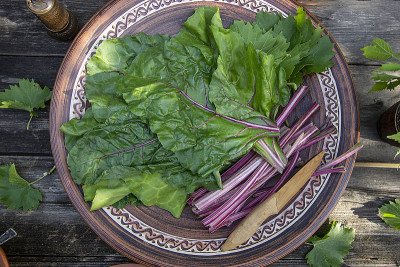 自制甜菜叶dolma