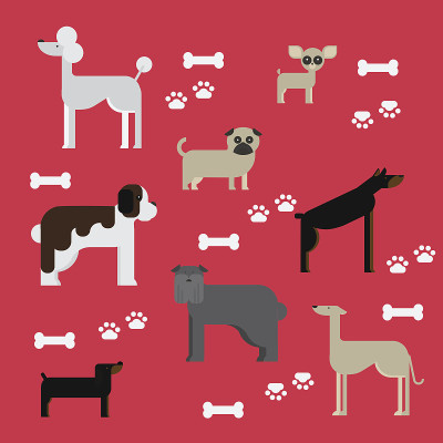 Flat dog characters set, cartoon pet animal collec