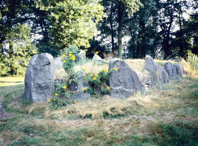 史前dolmen, hunebed, in Borger, Drente