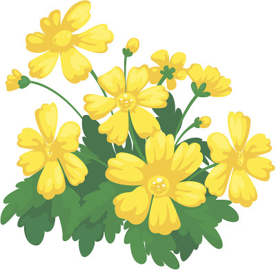 花