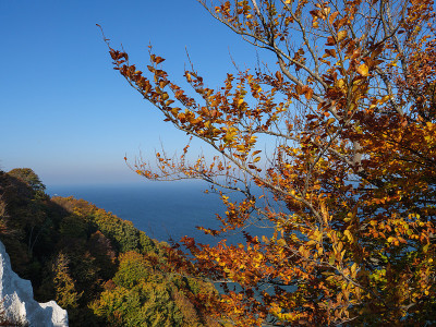 鲁根岛