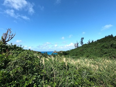 农田的景色