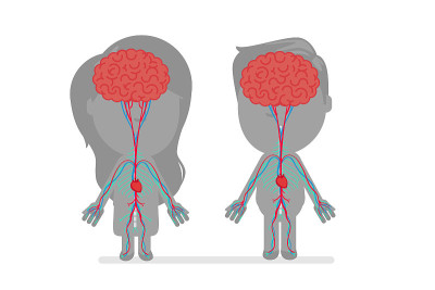Human body anatomy vector illustration