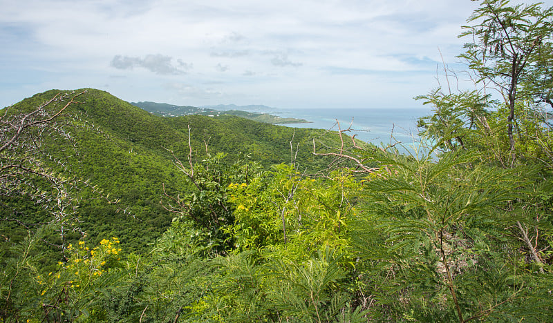 山羊山岛景观