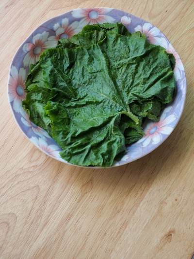 南瓜叶，烹饪材料，绿色