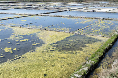 威Saline-Portugal