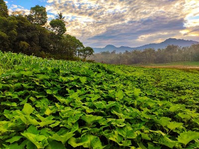 Selorejo水坝