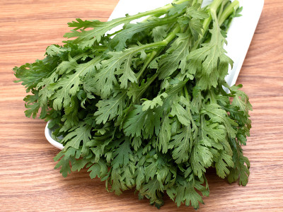 日本花环菊花