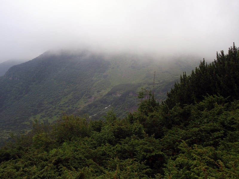 在卡帕特的霍维拉山顶上，雾气缭绕的绿色山丘