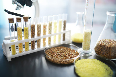 农业谷物和种子实验室分析研究。试管中有精选植物的种子。