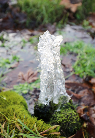 涌出的水从地面的源头喷出来