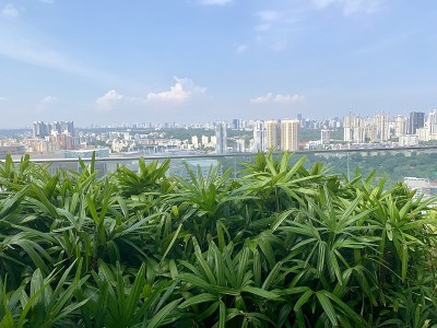 阳光下的新加坡