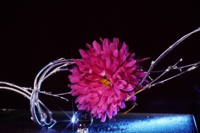 红色的花