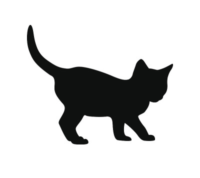 白色背景上的小猫剪影