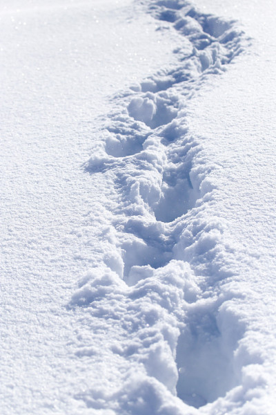 登山者的足迹以雪地为背景