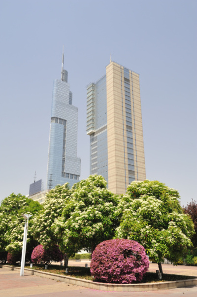 南京城市