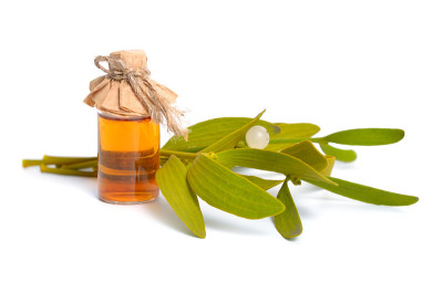 Viscum album，欧洲俗称mistletoe，俗称mistletoe或简称mistletoe