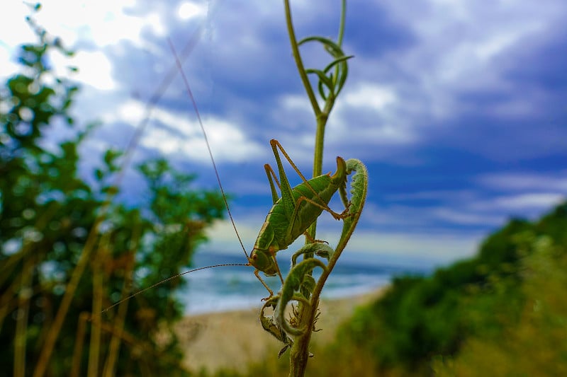 夏天的海滩上