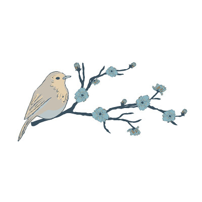 樱花枝上的小鸟。