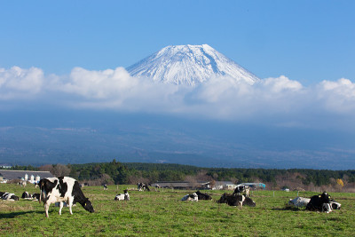 从浅尻高原附近看到的富士山