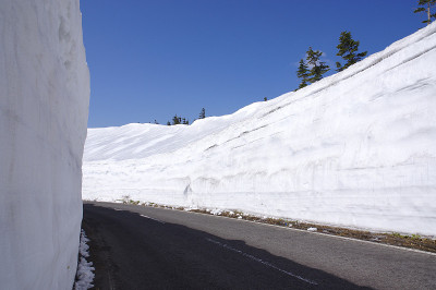 雪墙
