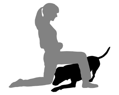 狗与女人的运动