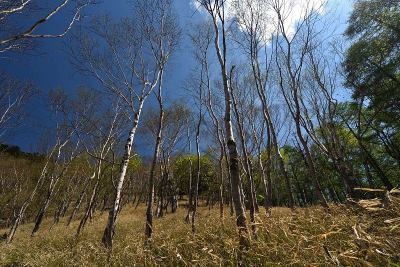 日本枥木，从日光攀登到沙山