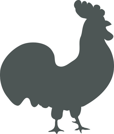 鸡轮廓孤立在白色背景矢量