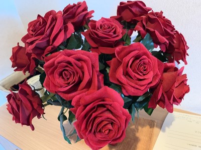 美丽的花朵红玫瑰