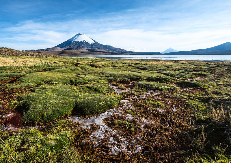 智利春加拉湖上的帕里纳科塔火山被积雪覆盖