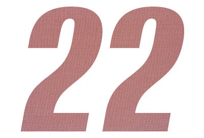 22号，白色背景上有赤土色织物纹理