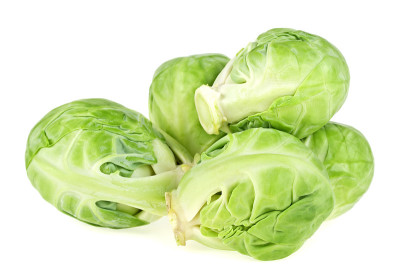 一群孤立在白色背景上的抱子甘蓝