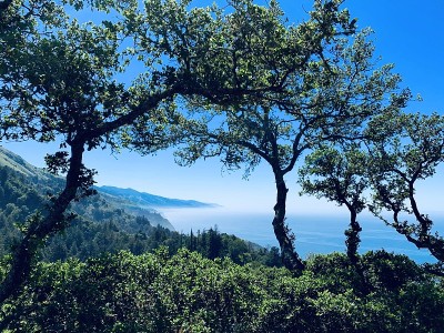 大苏尔海岸景观