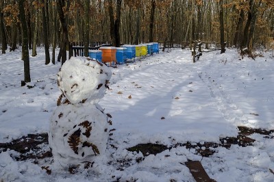 在落叶林里的冬季田野里，看到有蜂房和雪人的雪景