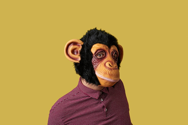 man wearing a monkey mask