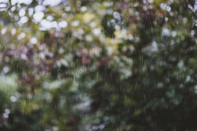雨中花园的抽象库存图像。