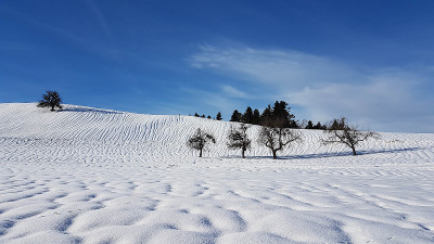 冬季景观与明显的水凹槽在雪