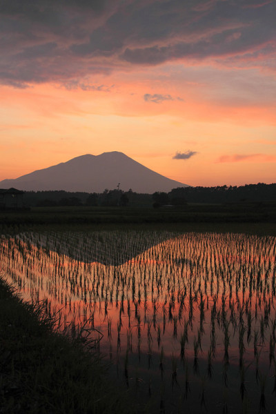 Mt.Iwate在《暮光之城》