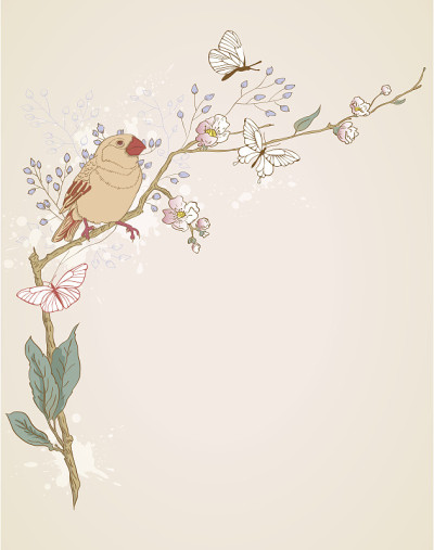小鸟坐在树枝上